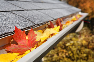 gutter cleaning northeast ohio